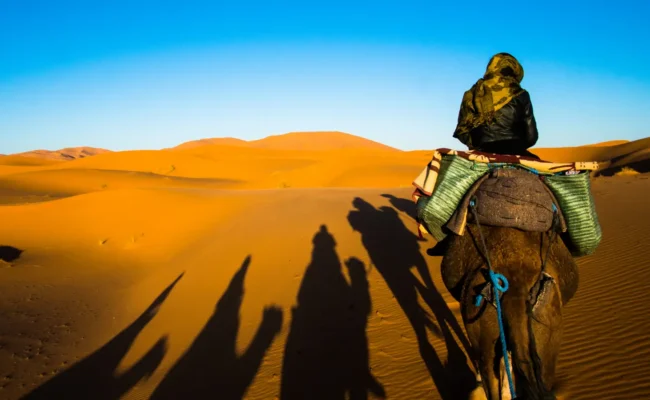 Dubai Desert Safari