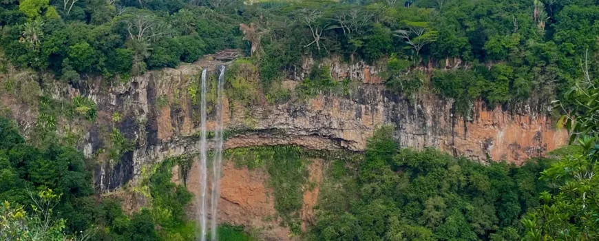 Wild South Mauritius Tour